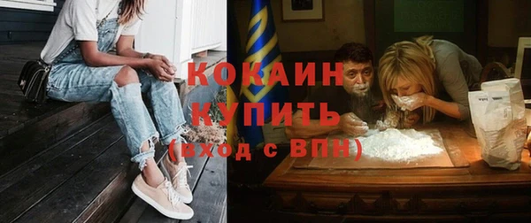 Альфа ПВП Горняк