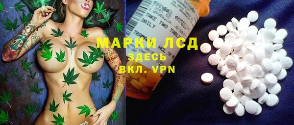 Альфа ПВП Горняк