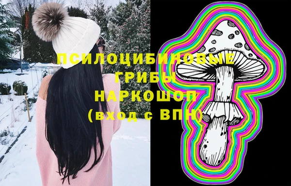 Альфа ПВП Горняк