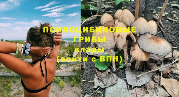 Альфа ПВП Горняк
