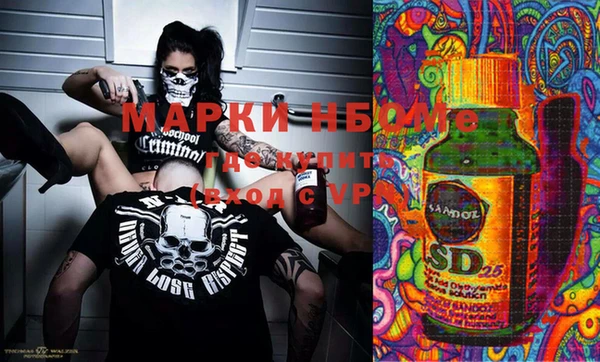 Альфа ПВП Горняк