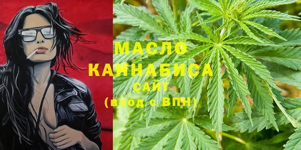Альфа ПВП Горняк