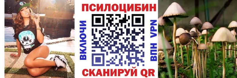 купить  цена  Чаплыгин  Галлюциногенные грибы мухоморы 